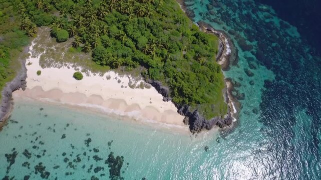 Aerial View of Isla Holbox Beach with Turquoise Water, White Sand, and Dense Green Foliage in a Tropical Paradise Setting
