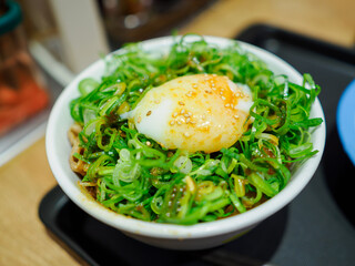 温泉卵が乗った青ネギたっぷりの牛丼