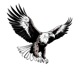 Obraz premium The eagle spreads its wings and flies gracefully.