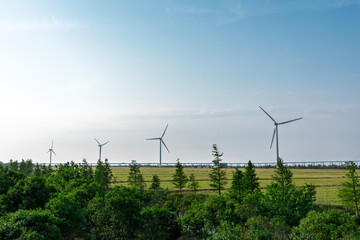 wind turbine in the field