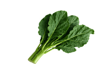Fresh Chinese kale (Brassica oleracea var. alboglabra) isolated on white background, organic Asian leafy green vegetable, clean eating, healthy diet, farm-to-table ingredient, nutritious raw greens 
