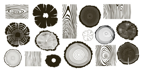 Wooden logs textures. Wood concepts graphics, lumber circles top view. Vintage outline tree rings stumps, cut trees structure racy vector collection