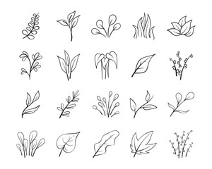 Hand Drawn Black and White Plants Vector Illustration Set
