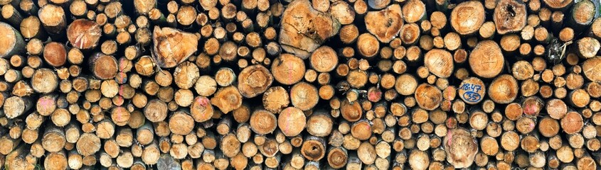 Panoramic view of stacked timber logs showing natural wood textures and patterns