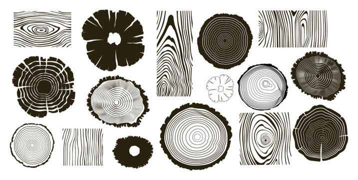 Wooden logs textures. Wood concepts graphics, lumber circles top view. Vintage outline tree rings stumps, cut trees structure racy vector collection