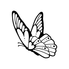 stylized butterfly outline illustration