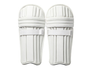 Cricket wicket keeping pads png wicketkeeper leg guards png cricket protection pads png padded shin gear png professional keeper gear png sports safety pads png transparent background image