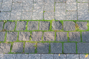 A cobblestone street, blending history and modernity, ideal for marketing campaigns