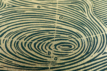 The Fingerprint Serenade Collection is a new line of elegant gold and black jewelry showcasing unique fingerprints, symbolizing individuality and unity The collection offers timeless accessories for