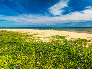Beautiful sea beach nature background,High Angle view beach sea background.