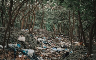 Fototapeta premium Grabage in the forest, Polluted Forest, Trash and plastics scattered on the ground