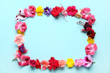 Frame made of different beautiful edible flowers on blue background