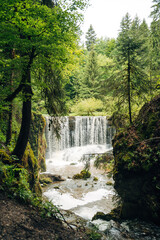 Waterfall in the Forest