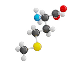 Obraz premium Methionine (Met) molecule isolated on transparent background. Essential amino acid. Molecular formula: C5H11NO2S. Chemical model: Ball and stick. 3D illustration.