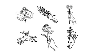 Hand Holding Flower Vector Set – Line Art Floral Illustrations with Feminine Hands