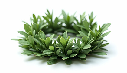 Green Leaf Wreath on White Background Botanical Decoration