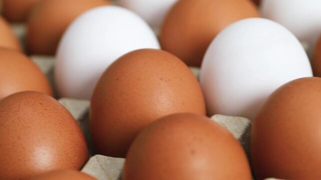 Eggs are the best protein and are inexpensive and readily available.