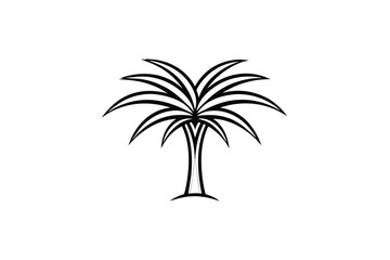 Elegant Palm Tree Line Art Minimalist Botanical Illustration