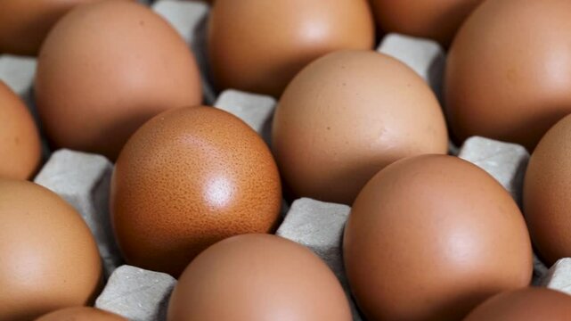 Eggs are the best protein and are inexpensive and readily available.