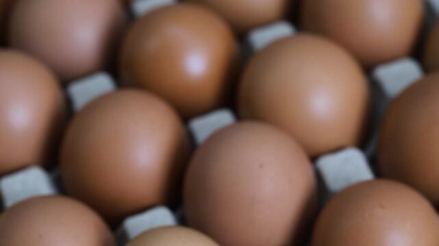 Eggs are the best protein and are inexpensive and readily available.