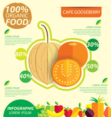 Cape gooseberry (physalis). Infographic template. vector illustration.