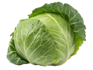 Fototapeta premium Close-up of a Fresh Green Cabbage Isolated on transparent background, Isolated Png Isolated on transparent background, Isolated Png file, Cut-out, Isolate Png, No Background, Isolated object