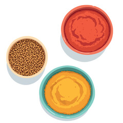 Vsai colorful bowls containing spices, tomato sauce, and mustard creating culinary delight