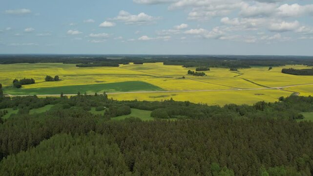 landscape with yellow fields and green fores in the summer areal view