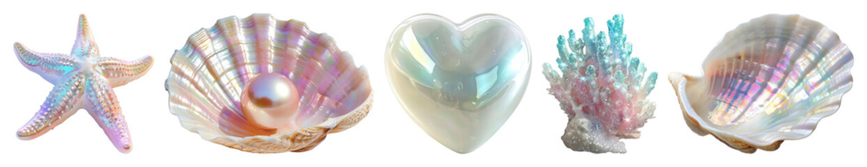 PNG Iridescent seashells and starfish collection, element set on transparent background