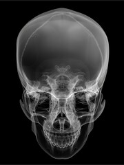 Top-down X-ray of a human skull, showing cranial sutures and skull curvature, medical imaging style, grayscale finish, clean and scientific