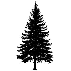 a black and white silhouette of a pine tree black, christmas tree, fir tree, pine tree, silhouette, tree , Generative art.