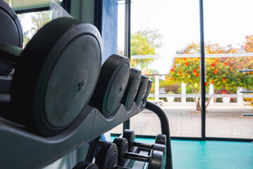 A gym with a teal floor and a rack of dumbbells in the foreground. Large windows reveal a tree with orange and red flowers under natural light.