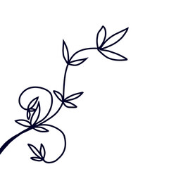 Minimalist floral sketch illustration isolated 