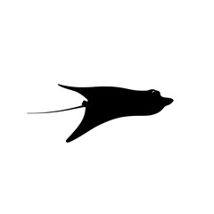 a silhouette of a bird flying in the sky bird, black, fish, fly, silhouette, sky , Generative art.
