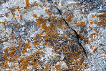 Close-up of a rock surface revealing intricate natural textures and patterns, perfect for...