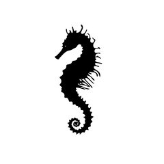Fototapeta premium a black silhouette of a seahorse on a white background black, silhouette , Generative art.
