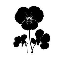 a silhouette of flowers in black colors on a white background in a simple style black, color, design, flower, icon, illustration, silhouette, single, style , Generative art.
