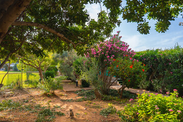 A tranquil garden featuring vibrant flowering bushes, shaded trees, and a small cat in the center. A fence encloses the sunny, well maintained space.