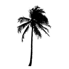 a silhouette of a palm tree on a white background black, palm tree, silhouette , Generative art.