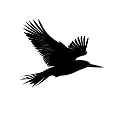 a black silhouette of a bird in flight on a white background bird, black, flight, fly, silhouette, wing , Generative art.