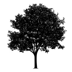black silhouette of a tree on a white background black, silhouette, tree , Generative art.