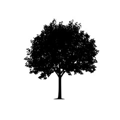 black silhouette of a tree on a white background black, silhouette, tree , Generative art.