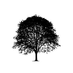 black silhouette of a tree on a white background black, silhouette, tree , Generative art.