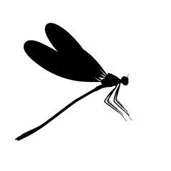a black and white silhouette of a dragonfly flying black, dragonfly, fly, insect, silhouette, wing , Generative art.