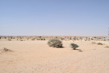 Arabian Desert in Saudi Arabia