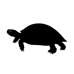 a silhouette of a turtle on a white background black, silhouette, turtle , Generative art.