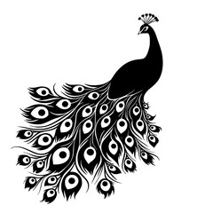 Fototapeta premium black silhouette of a peacock with a pattern on a white background black, ornament, pattern, peacock, silhouette, tail , Generative art.