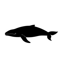 a black silhouette of a whale on a white background black, icon, silhouette, whale , Generative art.