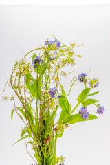 A beautiful arrangement of colorful wildflowers showcases nature's artistry, brightening any space