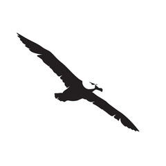 Majestic Albatross in Flight A Stunning Silhouette Illustration